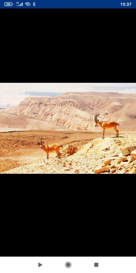 אלת המדברgoddess Of The Desert Be'er Ora Extérieur photo